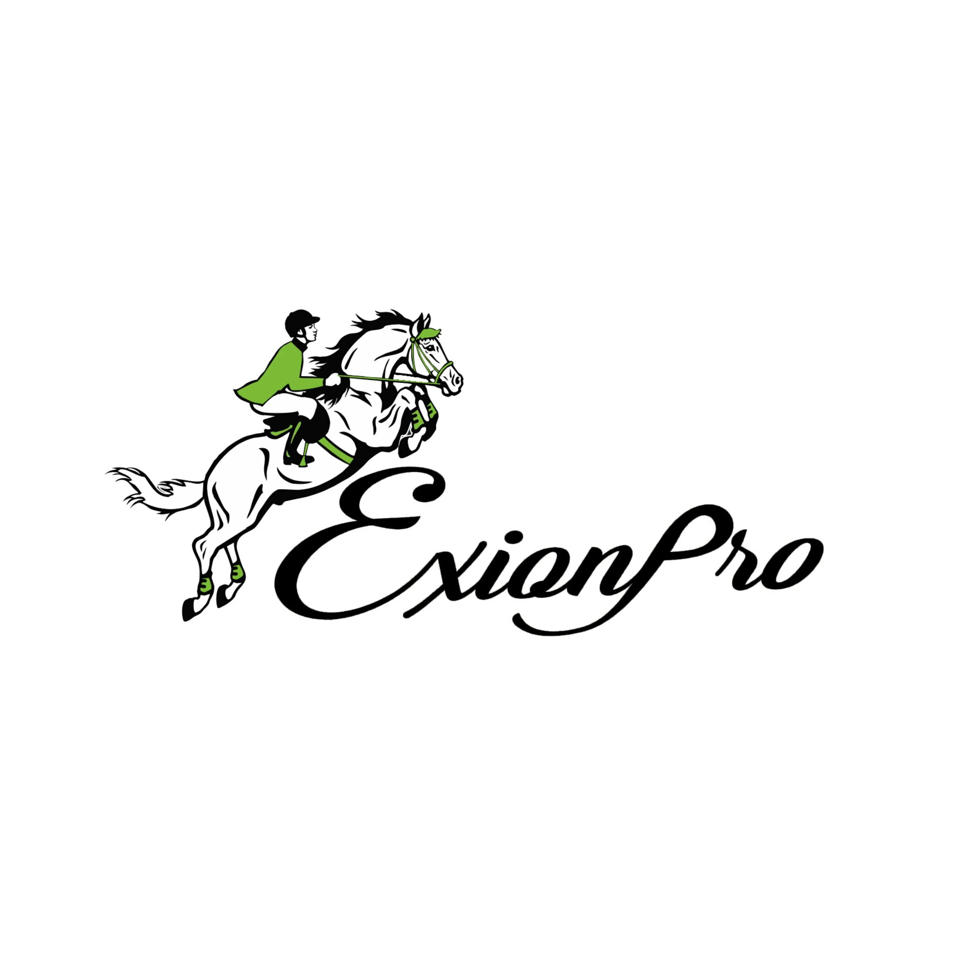 ExionPro Leather Horse Tendon Show Jump Boots - 403